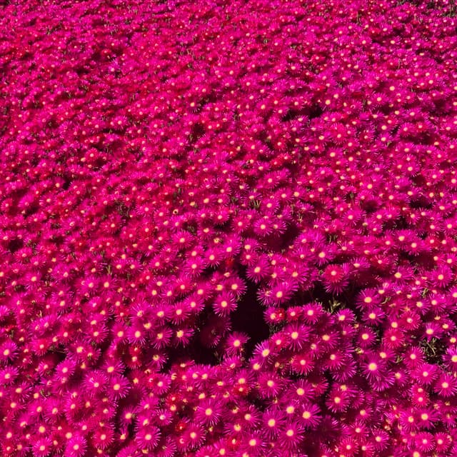 Intuitive Massage Membership at Shear Karma in Carlsbad, CA